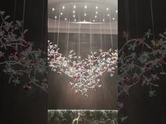 Voyez pourquoi choisissez la preuve d'usure d'éclat doux de plafonnier en verre de fleur d'OEM LED