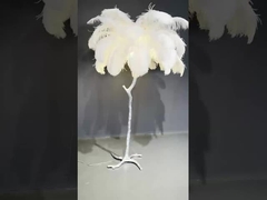 Luxe moderne lumineux antique coin décoratif plumes d' autruche ombre LED lampes de sol debout