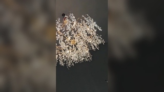 Lustre élégant en magnolia blanc pour hôtels de luxe