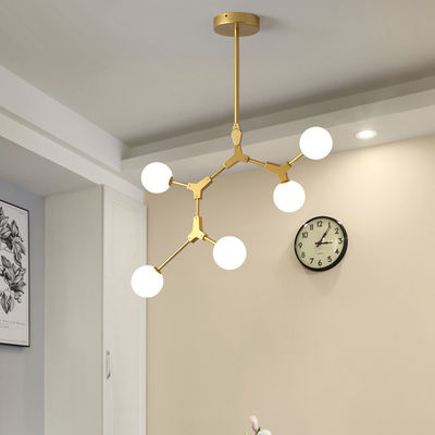 Les lampes pendantes G9 en verre détachable de Polonais traient le type de branche de lustre en verre