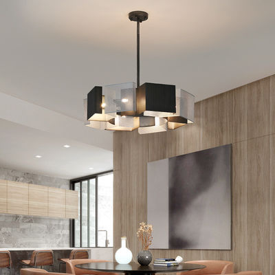 Lampes décoratives modernes argentées de champ noir accrochant corrosion antirouille d'appareils d'éclairage l'anti