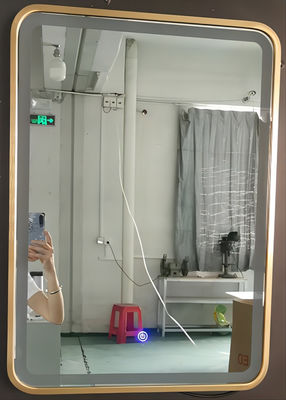 Le miroir de coiffeuse moderne de place avec les lumières noircissent/cadre en aluminium d'or